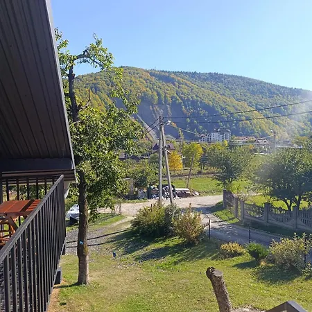 V Ulyanu Yaremche